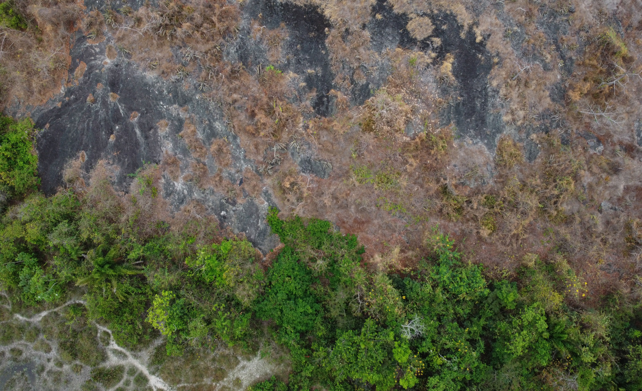 Mineralization outcrop in Japiim. Image