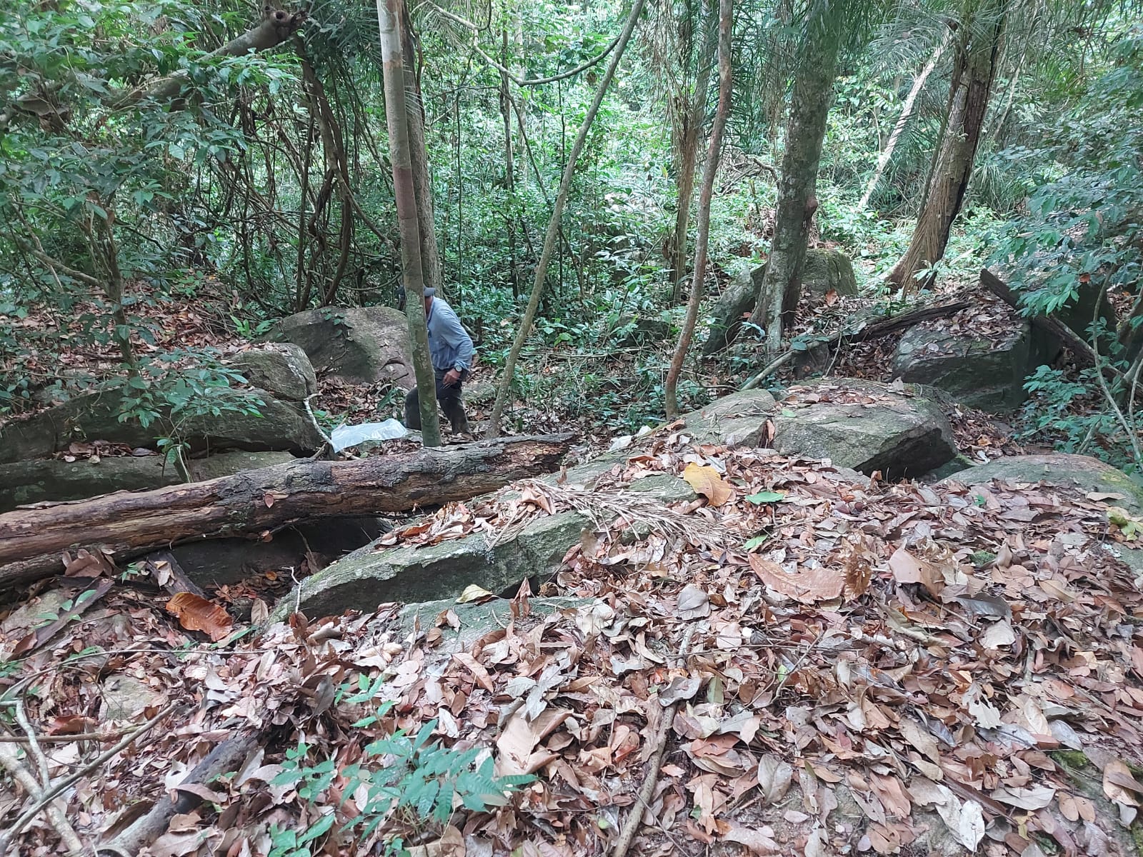 Mineralization outcrop in Ararajuba. Image